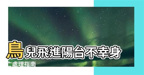 鳥死在陽台風水|鳥死陽台：處理指南